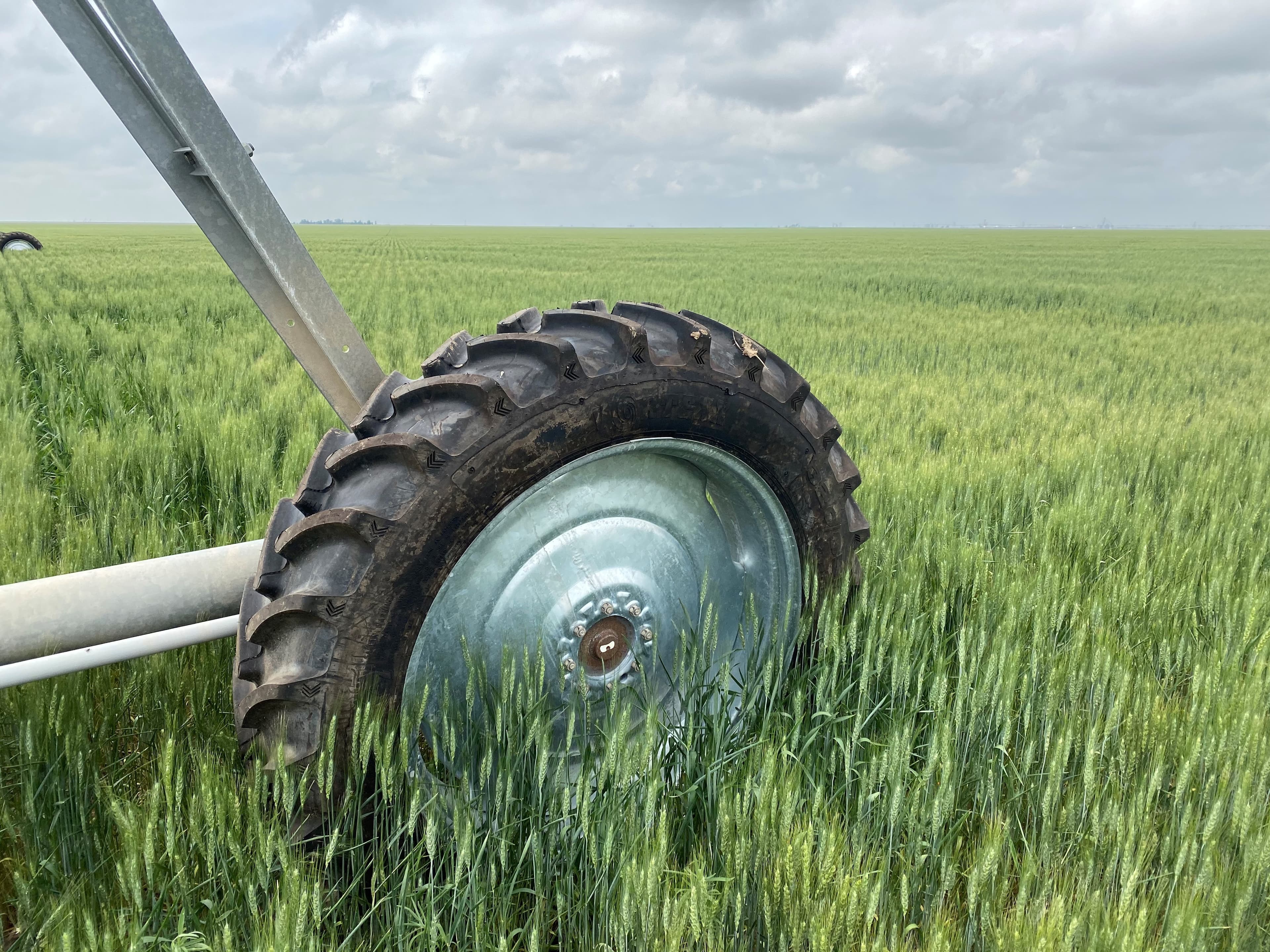 Vortexx Irrigation Tire 1