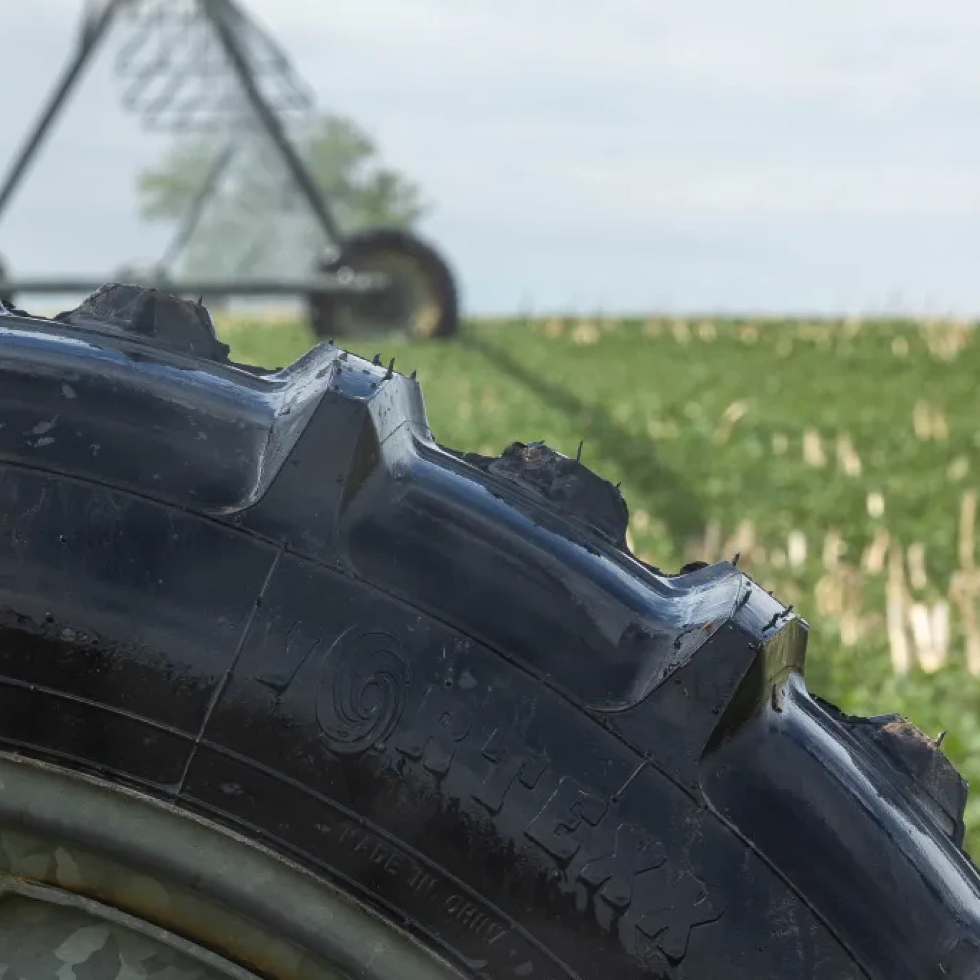 Vortexx Irrigation Tire 2